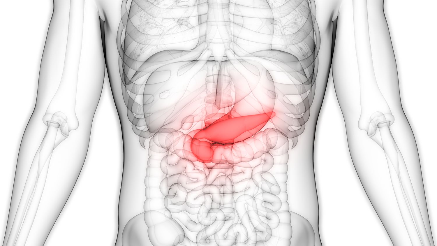 Pancreas- Anatomy, Functions and Conditions